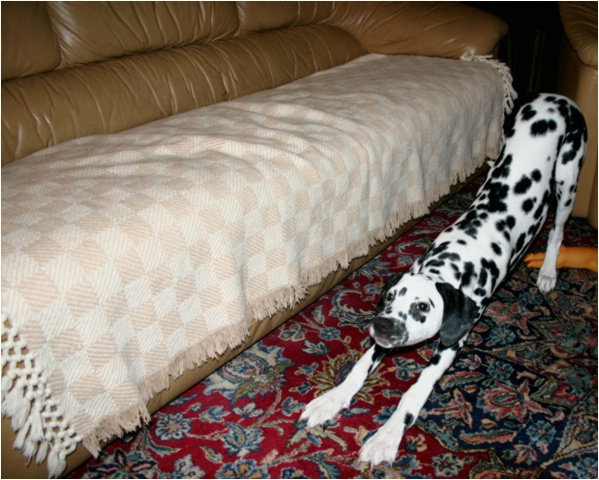 <b>schau her, ich bin schon so lang wie das Sofa! wieso leider?<b>